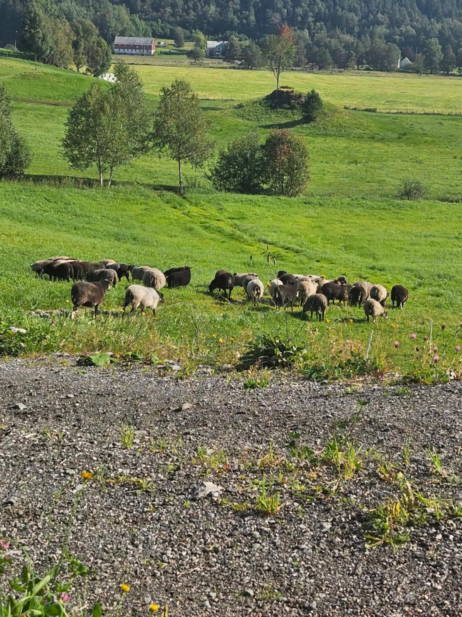 Lägenhet Gardsidyll I Flotte Omgivelser